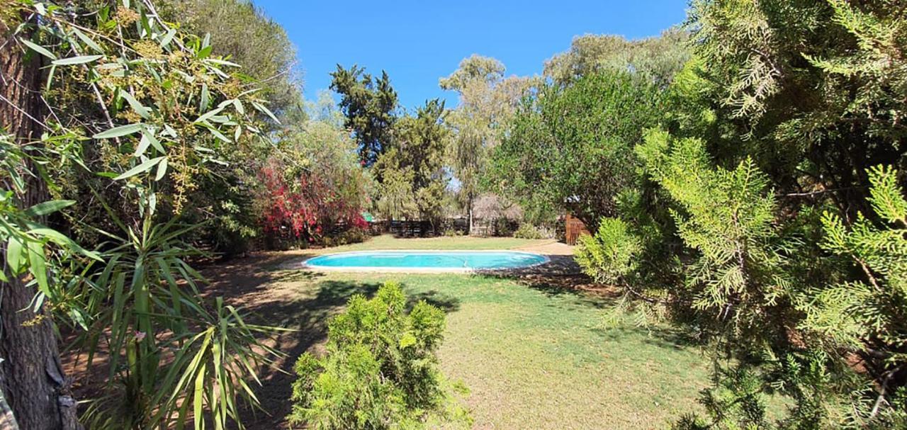 Welgeluk Feather Palace Oudtshoorn Exterior foto
